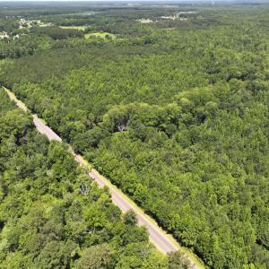 Photo #28 of 5799 Tolarsville Road , Saint Pauls , NC 439.0 acres