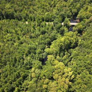 Photo #29 of 5799 Tolarsville Road , Saint Pauls , NC 439.0 acres