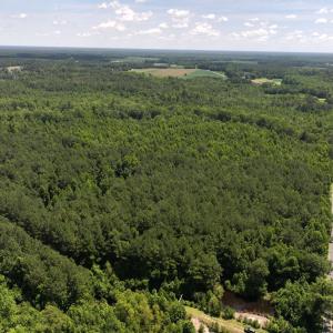 Photo #33 of 5799 Tolarsville Road , Saint Pauls , NC 439.0 acres