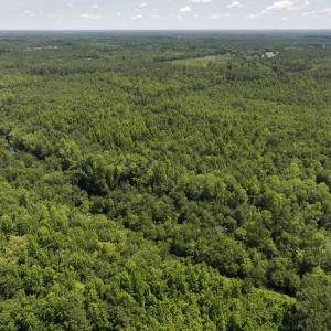 Photo #34 of 5799 Tolarsville Road , Saint Pauls , NC 439.0 acres