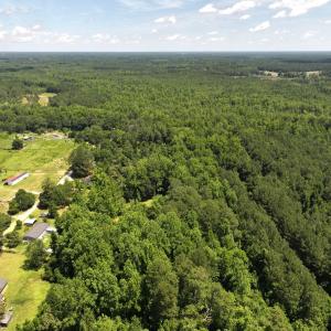 Photo #38 of 5799 Tolarsville Road , Saint Pauls , NC 439.0 acres