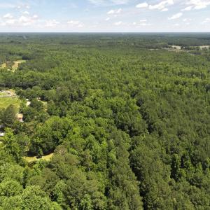 Photo #40 of 5799 Tolarsville Road , Saint Pauls , NC 439.0 acres
