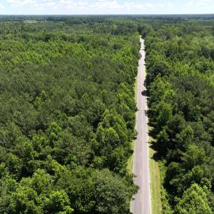Photo #6 of 5799 Tolarsville Road , Saint Pauls , NC 439.0 acres