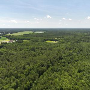 Photo #7 of 5799 Tolarsville Road , Saint Pauls , NC 439.0 acres