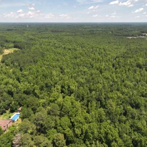 Photo #41 of 5799 Tolarsville Road , Saint Pauls , NC 439.0 acres