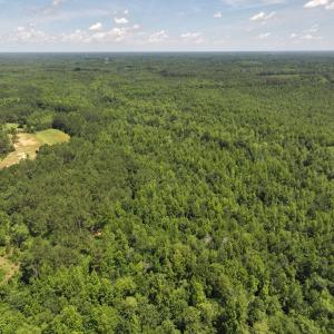 Photo #42 of 5799 Tolarsville Road , Saint Pauls , NC 439.0 acres