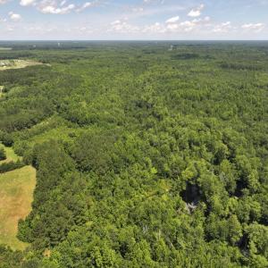Photo #43 of 5799 Tolarsville Road , Saint Pauls , NC 439.0 acres