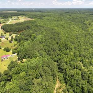 Photo #44 of 5799 Tolarsville Road , Saint Pauls , NC 439.0 acres