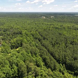 Photo #45 of 5799 Tolarsville Road , Saint Pauls , NC 439.0 acres