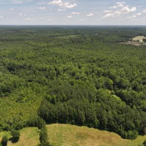 Photo #46 of 5799 Tolarsville Road , Saint Pauls , NC 439.0 acres