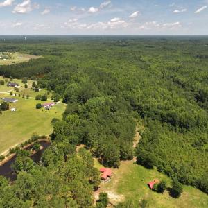 Photo #47 of 5799 Tolarsville Road , Saint Pauls , NC 439.0 acres