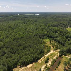 Photo #48 of 5799 Tolarsville Road , Saint Pauls , NC 439.0 acres