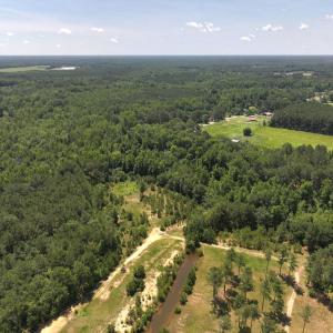 Photo #49 of 5799 Tolarsville Road , Saint Pauls , NC 439.0 acres