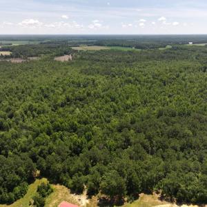 Photo #50 of 5799 Tolarsville Road , Saint Pauls , NC 439.0 acres