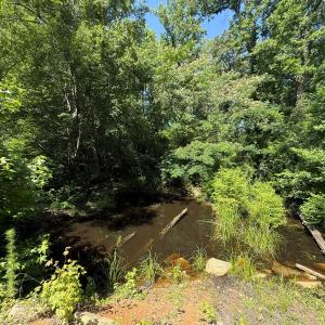 Photo #52 of 5799 Tolarsville Road , Saint Pauls , NC 439.0 acres