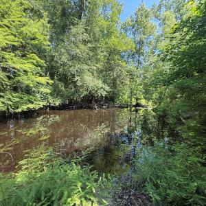 Photo #53 of 5799 Tolarsville Road , Saint Pauls , NC 439.0 acres