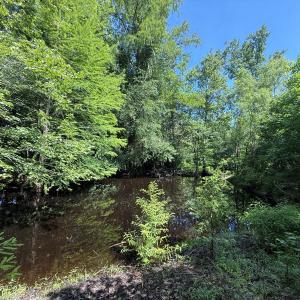 Photo #54 of 5799 Tolarsville Road , Saint Pauls , NC 439.0 acres