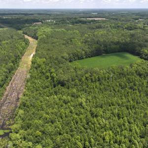 Photo #57 of 5799 Tolarsville Road , Saint Pauls , NC 439.0 acres