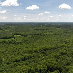 Photo #59 of 5799 Tolarsville Road , Saint Pauls , NC 439.0 acres
