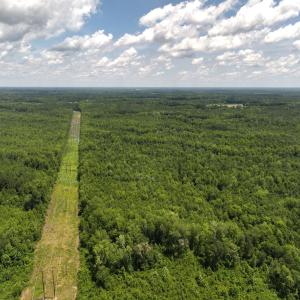 Photo #62 of 5799 Tolarsville Road , Saint Pauls , NC 439.0 acres