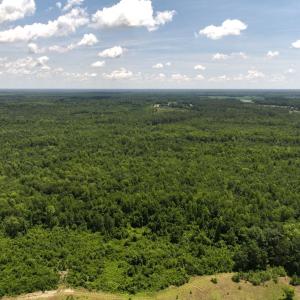 Photo #63 of 5799 Tolarsville Road , Saint Pauls , NC 439.0 acres