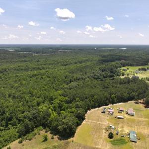 Photo #64 of 5799 Tolarsville Road , Saint Pauls , NC 439.0 acres