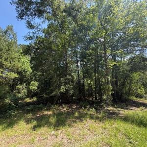 Photo #75 of 5799 Tolarsville Road , Saint Pauls , NC 439.0 acres
