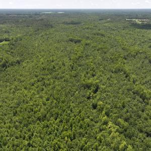 Photo #76 of 5799 Tolarsville Road , Saint Pauls , NC 439.0 acres
