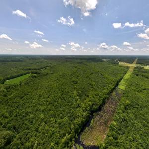 Photo #78 of 5799 Tolarsville Road , Saint Pauls , NC 439.0 acres