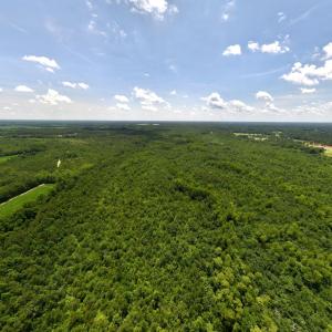 Photo #79 of 5799 Tolarsville Road , Saint Pauls , NC 439.0 acres