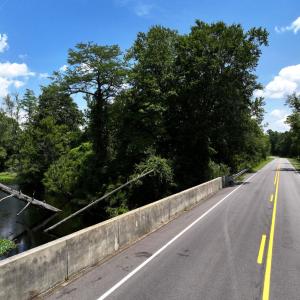 Photo #81 of 5799 Tolarsville Road , Saint Pauls , NC 439.0 acres