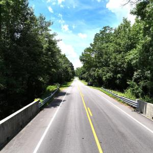 Photo #82 of 5799 Tolarsville Road , Saint Pauls , NC 439.0 acres