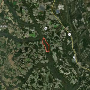 Photo #83 of 5799 Tolarsville Road , Saint Pauls , NC 439.0 acres
