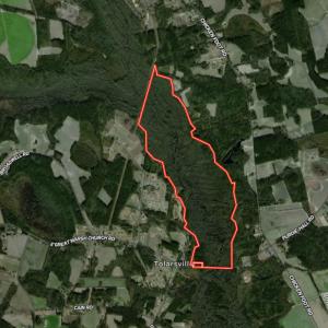 Photo #84 of 5799 Tolarsville Road , Saint Pauls , NC 439.0 acres