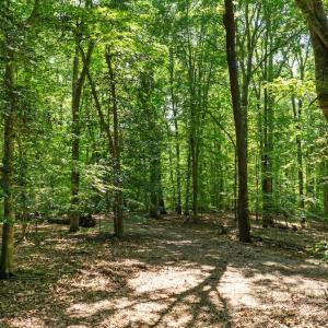 Photo #17 of Off Hilltop Lane, Smithfield, VA 19.1 acres