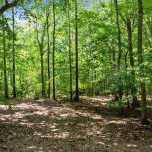 Photo #18 of Off Hilltop Lane, Smithfield, VA 19.1 acres