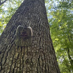 Photo #19 of Off Hilltop Lane, Smithfield, VA 19.1 acres