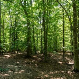 Photo #22 of Off Hilltop Lane, Smithfield, VA 19.1 acres
