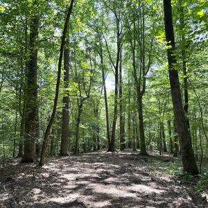 Photo #23 of Off Hilltop Lane, Smithfield, VA 19.1 acres