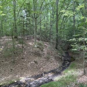 Photo #24 of Off Hilltop Lane, Smithfield, VA 19.1 acres