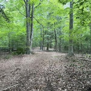 Photo #26 of Off Hilltop Lane, Smithfield, VA 19.1 acres