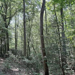 Photo #29 of Off Hilltop Lane, Smithfield, VA 19.1 acres