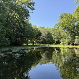 Photo #30 of Off Hilltop Lane, Smithfield, VA 19.1 acres