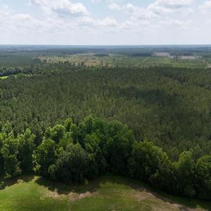 Photo #9 of Off Barbee Rd, Richlands , NC 97.0 acres