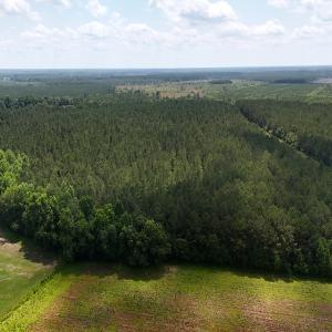 Photo #10 of Off Barbee Rd, Richlands , NC 97.0 acres