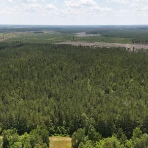 Photo #14 of Off Barbee Rd, Richlands , NC 97.0 acres
