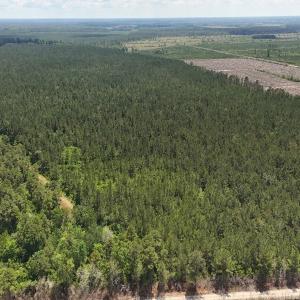 Photo #16 of Off Barbee Rd, Richlands , NC 97.0 acres