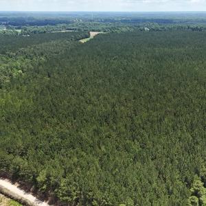 Photo #19 of Off Barbee Rd, Richlands , NC 97.0 acres