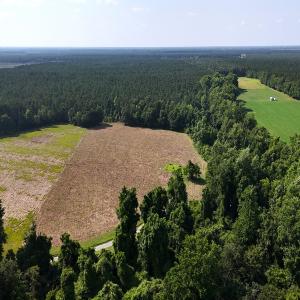 Photo #2 of Off Barbee Rd, Richlands , NC 97.0 acres