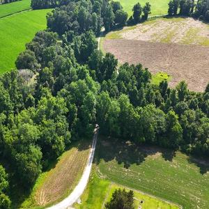 Photo #5 of Off Barbee Rd, Richlands , NC 97.0 acres